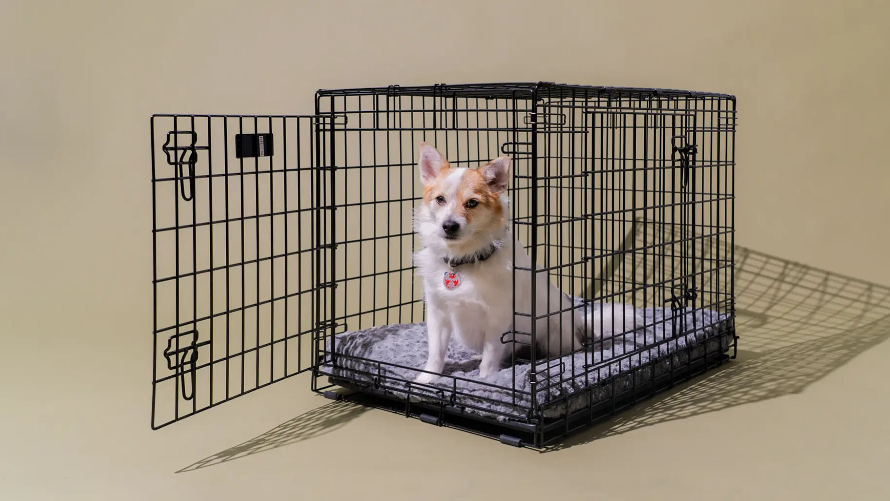 Pet Supplies Discount Shop -Pet Supplies Discount Shop 4