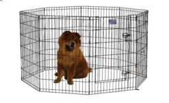 Midwest Black Contour Exercise Pen For Dogs -Pet Supplies Discount Shop 554 36DR FULL