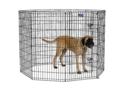 Midwest Black Contour Exercise Pen For Dogs -Pet Supplies Discount Shop 558 48DR FULL