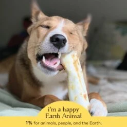 Earth Animal No-Hide Peanut Butter Single Chew For Dogs -Pet Supplies Discount Shop 812121031340 ALT4