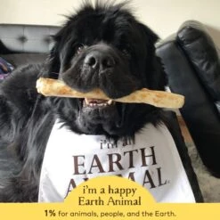 Earth Animal No-Hide Peanut Butter Single Chew For Dogs -Pet Supplies Discount Shop 812121031395 ALT4