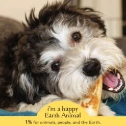 Earth Animal No-Hide Peanut Butter Single Chew For Dogs -Pet Supplies Discount Shop 812121031401 ALT4