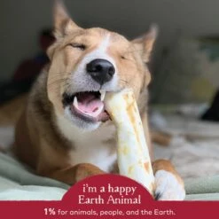 Earth Animal No-Hide Beef Single Chew For Dogs -Pet Supplies Discount Shop 853965006095 ALT4