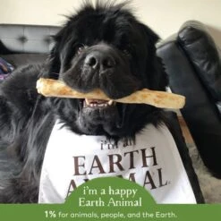 Earth Animal No-Hide Pork Single Chew For Dogs -Pet Supplies Discount Shop 853965006583 ALT4