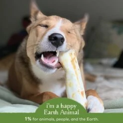 Earth Animal No-Hide Pork Single Chew For Dogs -Pet Supplies Discount Shop 853965006606 ALT4
