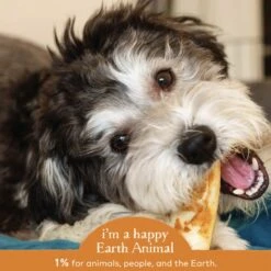 Earth Animal No-Hide Chicken Chew For Dogs -Pet Supplies Discount Shop 857253003759 ALT4