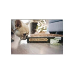 Bark Potty All Natural Pee Pad -Pet Supplies Discount Shop BarkPotty Lifestyle