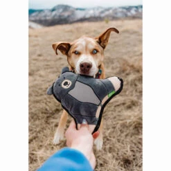 Only Natural Pet Mountain Friends Recycled Plush Dog Toys -Pet Supplies Discount Shop BeatricetheBearMountainFriendsPlushDogToyLifestyleShot