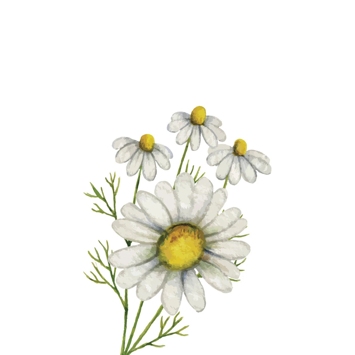 TrueBlue Natural Balance Conditioning Shampoo 4 TrueBlue Natural Balance Conditioning Shampoo - Image 2