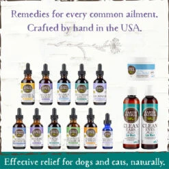 Earth Animal Herbal Topical Remedies Clean Ears Wash For Dogs 10 Earth Animal Herbal Topical Remedies Clean Ears Wash For Dogs -Pet Supplies Discount Shop EarthAnimal CleanEars Alt2