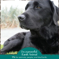 Earth Animal Herbal Topical Remedies Clean Eyes Wash For Dogs 11 Earth Animal Herbal Topical Remedies Clean Eyes Wash For Dogs -Pet Supplies Discount Shop EarthAnimal CleanEyes Alt3