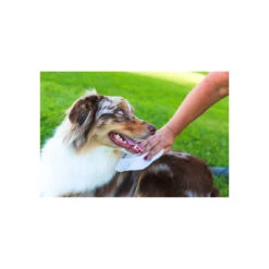 Earthbath Total Natural Pet Care Extra Thick Moist Towel Grooming Wipes For Dogs & Cats -Pet Supplies Discount Shop Earthbath GroomingWipes Lifestyle