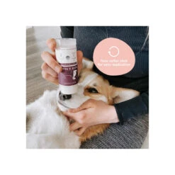 Kin + Kind Organic Nose & Paw Stick For Dogs -Pet Supplies Discount Shop KinKind NosePawStick Alt3