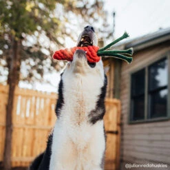 Only Natural Pet Eco-Friendly Regenerated Cotton Carrot Dog Toy -Pet Supplies Discount Shop ONPEcoFriendlyRegeneratedCottonCarrotDogToyLifestyleImage2