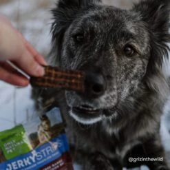 Only Natural Pet Jerky Strips Dog Treats -Pet Supplies Discount Shop ONPJerkyStripsLifestyle