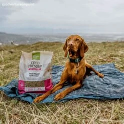 Only Natural Pet Pork & Menhaden Cold Pressed Dog Food 15 Only Natural Pet Pork & Menhaden Cold Pressed Dog Food -Pet Supplies Discount Shop ONPPork MenhadenColdPressedDogFoodLifestyle2