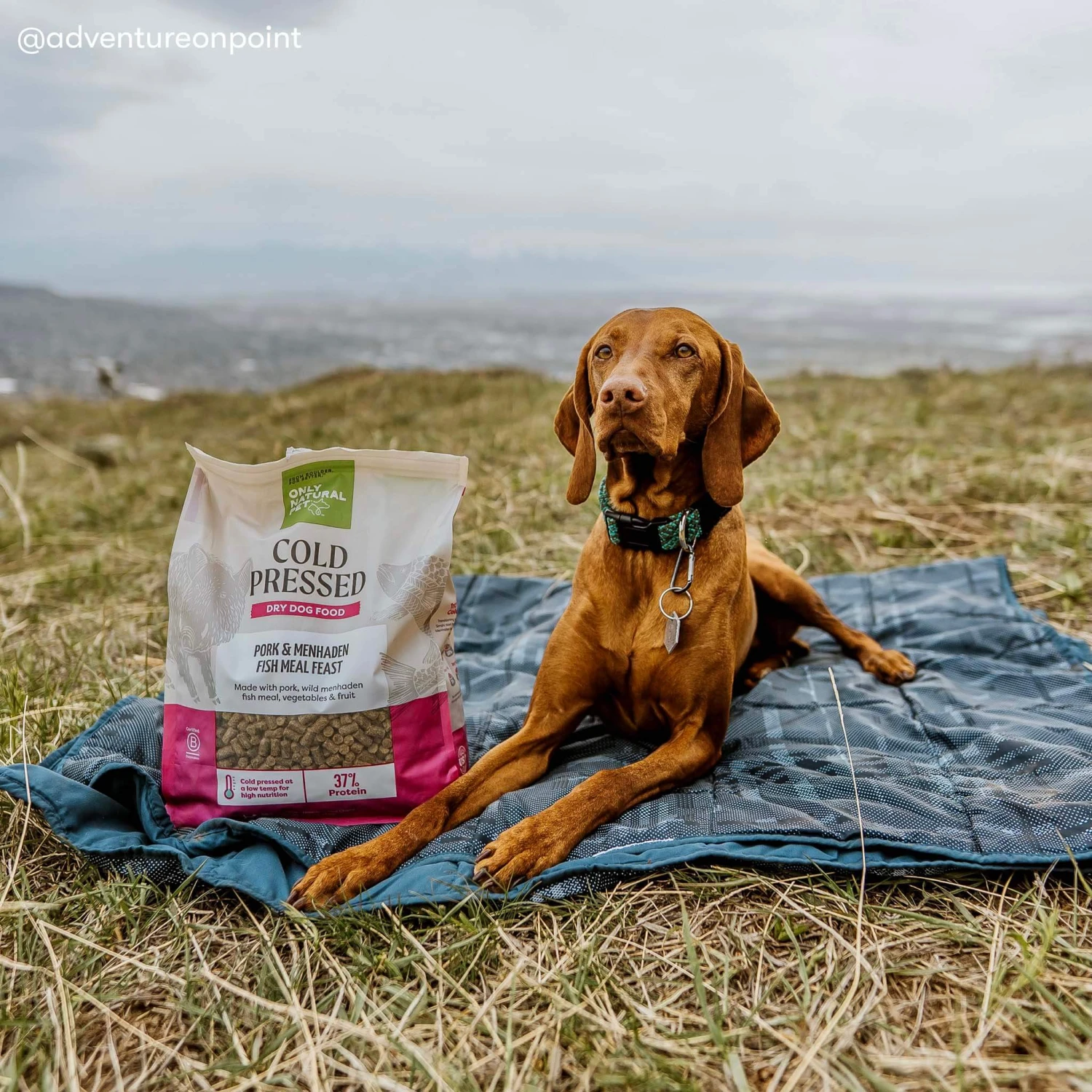 Only Natural Pet Pork & Menhaden Cold Pressed Dog Food 9 Only Natural Pet Pork & Menhaden Cold Pressed Dog Food - Image 7