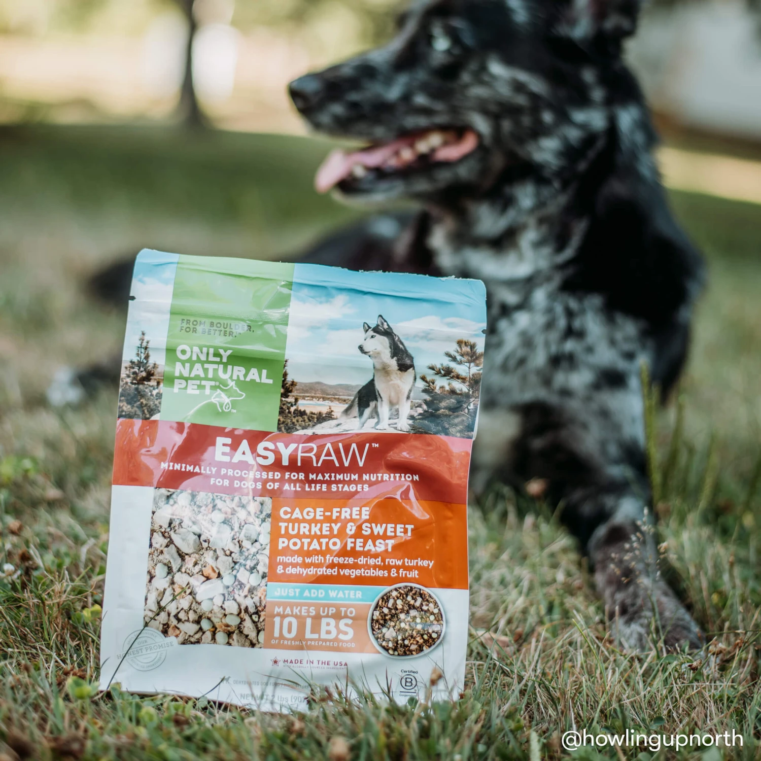 Only Natural Pet EasyRaw Cage-Free Turkey & Sweet Potato Feast Dehydrated Dog Food 6 Only Natural Pet EasyRaw Cage-Free Turkey & Sweet Potato Feast Dehydrated Dog Food - Image 4