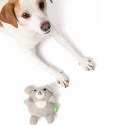 Only Natural Pet Hemp Bear Dog Toy -Pet Supplies Discount Shop OnlyNaturalPetHempBearDogToywDog