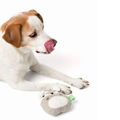 Only Natural Pet Hemp Fox Dog Toy -Pet Supplies Discount Shop OnlyNaturalPetHempFoxDogToywDog