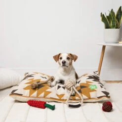 Only Natural Pet Eco-Friendly Regenerated Cotton Carrot Dog Toy -Pet Supplies Discount Shop OnlyNaturalPetRegeneratedCottonBedLifestyleShotv2 777fb950 981c 4891 8f52 74f0b694cbb4