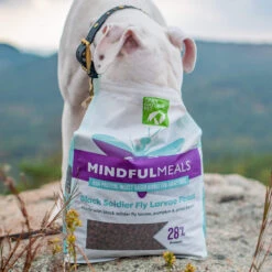 Only Natural Pet MindfulMeals Black Soldier Fly Larvae Feast Insect Protein Dog Food 7 Only Natural Pet MindfulMeals Black Soldier Fly Larvae Feast Insect Protein Dog Food -Pet Supplies Discount Shop PDP Lifestyle BSFL 2048x1048 cd3ab707 2259 4b2c 9d42 9b7ece4bb7f8