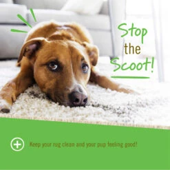 Pet Naturals Scoot Bars Anal Gland Support For Dogs 11 Pet Naturals Scoot Bars Anal Gland Support For Dogs -Pet Supplies Discount Shop PetNaturalsofVermontScootBars30PackDogChewsInfographic3