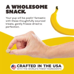 Primal Pet Foods Freeze-Dried Dog Treats 33 Primal Pet Foods Freeze-Dried Dog Treats -Pet Supplies Discount Shop PrimalPetFoodsFreeze DriedDogTreatsPeelin FantasticNewLifestyle