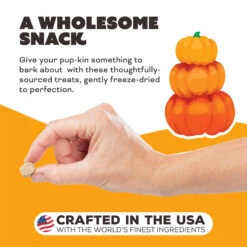 Primal Pet Foods Freeze-Dried Dog Treats 36 Primal Pet Foods Freeze-Dried Dog Treats -Pet Supplies Discount Shop PrimalPetFoodsFreeze DriedDogTreatsPumpkinformyPumpkinNewLifestyle