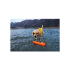 Ruffwear Lunker Water Toy For Dogs -Pet Supplies Discount Shop RW LunkerOrange Lifestyle