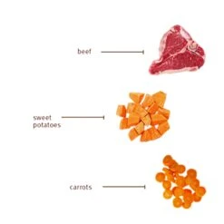 Sojos Complete Grain-Free Dog Food Mix -Pet Supplies Discount Shop SojosCompleteGrainFreeDogFoodMixBeefInfographic3