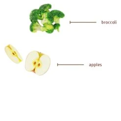 Sojos Complete Grain-Free Dog Food Mix -Pet Supplies Discount Shop SojosCompleteGrainFreeDogFoodMixTurkeyInfographic