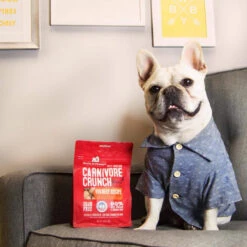 Stella & Chewy's Carnivore Crunch Training Treats -Pet Supplies Discount Shop Stella Chewy sCarnivoreCrunchTrainingTreatsBeefLifestyleImage 1