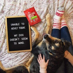 Stella & Chewy's Carnivore Crunch Training Treats -Pet Supplies Discount Shop Stella Chewy sCarnivoreCrunchTrainingTreatsDuckLifestyleImage 1