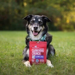 Stella & Chewy's Carnivore Crunch Training Treats -Pet Supplies Discount Shop Stella Chewy sCarnivoreCrunchTrainingTreatsTurkeyLifestyleImage 1
