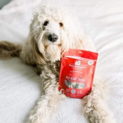 Stella & Chewy's Freeze-Dried Raw Single Ingredient Treats -Pet Supplies Discount Shop Stella Chewy sFreeze DriedRawSingleIngredientTreatsBeefHeartLifestyleImage