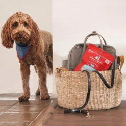 Stella & Chewy's Freeze-Dried Raw Single Ingredient Treats -Pet Supplies Discount Shop Stella Chewy sFreeze DriedRawSingleIngredientTreatsLambLiverLifestyleImage