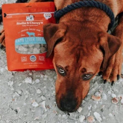Stella & Chewy's Freeze-Dried Raw Single Ingredient Treats -Pet Supplies Discount Shop Stella Chewy sFreeze DriedRawSingleIngredientTreatsLambLiverLifestyleImage2