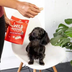Stella & Chewy's Wild Weenies Raw Freeze-Dried Dog Treats -Pet Supplies Discount Shop Stella Chewy sWildWeeniesRawFreeze DriedDogTreatsBac nMeCrazyLifestyleImage 1 41c54815 0260 4467 8465 e76ea0e087d2