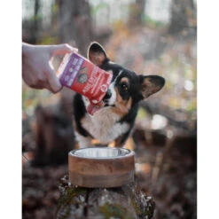 Stella & Chewy's Stew Wet Food For Dogs Case Of 12 29 Stella & Chewy's Stew Wet Food For Dogs Case Of 12 -Pet Supplies Discount Shop Stellas Stew turkey