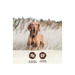 Wellness Core Grain Free Air-Dried Dog Food -Pet Supplies Discount Shop Wellness TenderBites ChickTurkey Infographic2