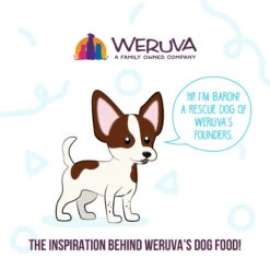 Weruva Meals 'n More Skin & Coat Wet Dog Food -Pet Supplies Discount Shop WeruvaMeals nMoreSkin CoatWetDogFoodInfographic2 a09dfe12 d0c9 4b0c a0e8 06af4d182abf