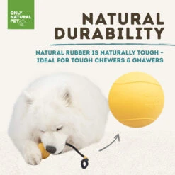 Only Natural Pet Natural Rubber Bond Building Fetch And Tug Dog Toys 39 Only Natural Pet Natural Rubber Bond Building Fetch And Tug Dog Toys -Pet Supplies Discount Shop YellowBallandRopeDurabilityInfographic