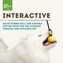 Only Natural Pet Natural Rubber Bond Building Fetch And Tug Dog Toys 38 Only Natural Pet Natural Rubber Bond Building Fetch And Tug Dog Toys -Pet Supplies Discount Shop YellowBallandRopeInteractiveInfographic