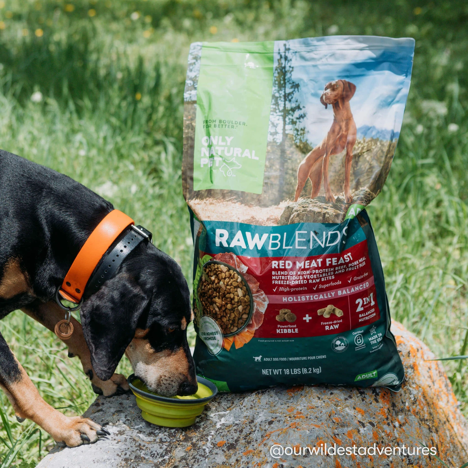 Only Natural Pet Raw Blends Red Meat Feast Raw Grain Free Dog Food 11 Only Natural Pet Raw Blends Red Meat Feast Raw Grain Free Dog Food - Image 9