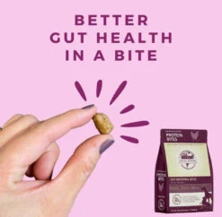 Steve's Real Food Probiotic Protein Bites -Pet Supplies Discount Shop steves real food steves real food probiotic dog ca 800x 8e5062c9 be9a 4f09 adcd afcc4fd5ff37