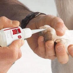 Top Performance MediStyp Liquid Super Sealer -Pet Supplies Discount Shop tp45498 0 1