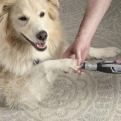 Dremel Cordless Variable Speed Nail Grinder Kit -Pet Supplies Discount Shop zw7760 36b